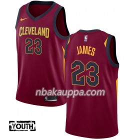Cleveland Cavaliers LeBron James 23 Nike 2017-18 Granaatti Pelipaidat Swingman - Lasten